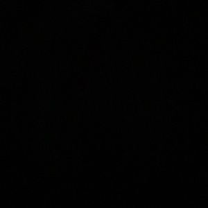 Meet your Posher, Natasha